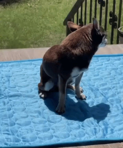 Cooling Mat