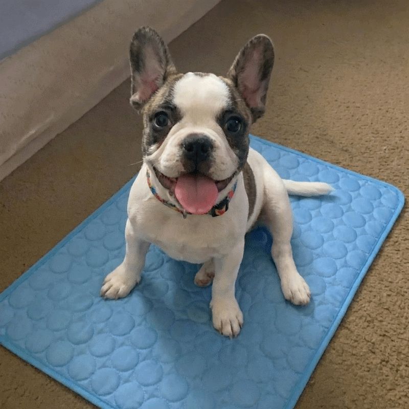 Cooling Mat