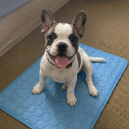 Cooling Mat