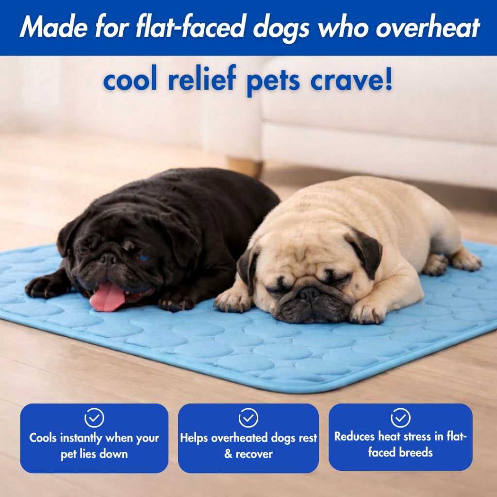 Cooling Mat