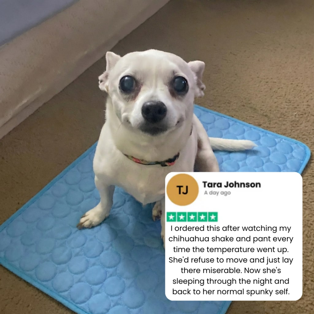 Cooling Mat